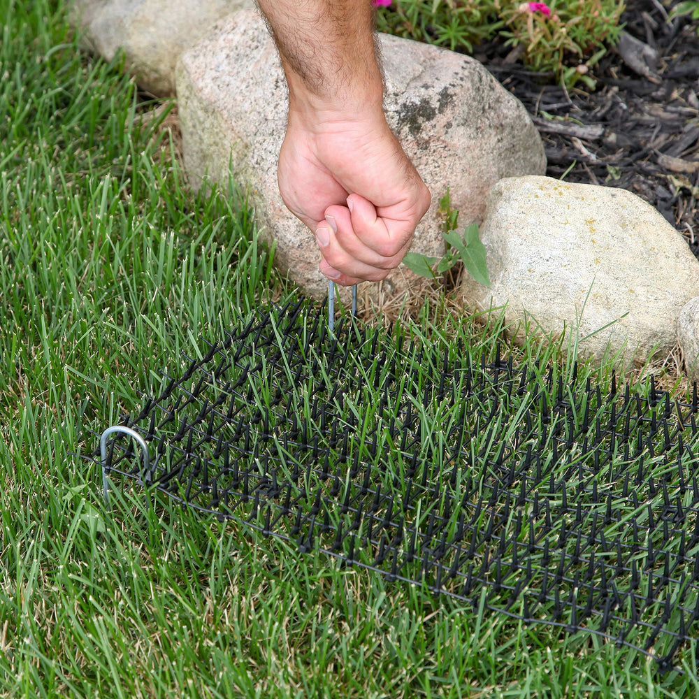 Tapix anti-cat mat protecting garden beds and pots from pets