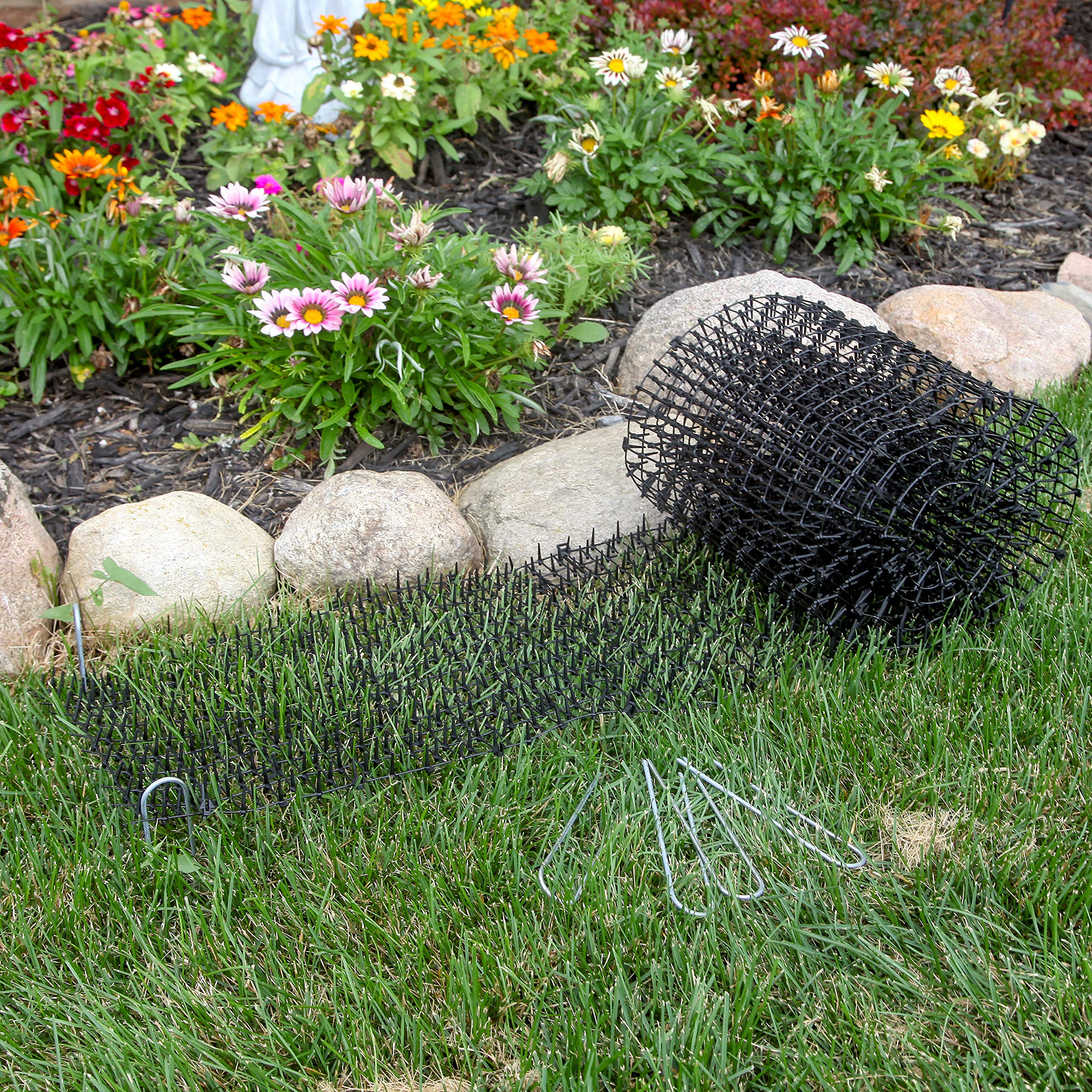 Tapix cat scat mat indoor outdoor setup shown near doorway