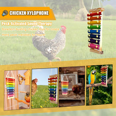 Tarandus chicken xylophone suspensible cage accessory hanging toy for birds