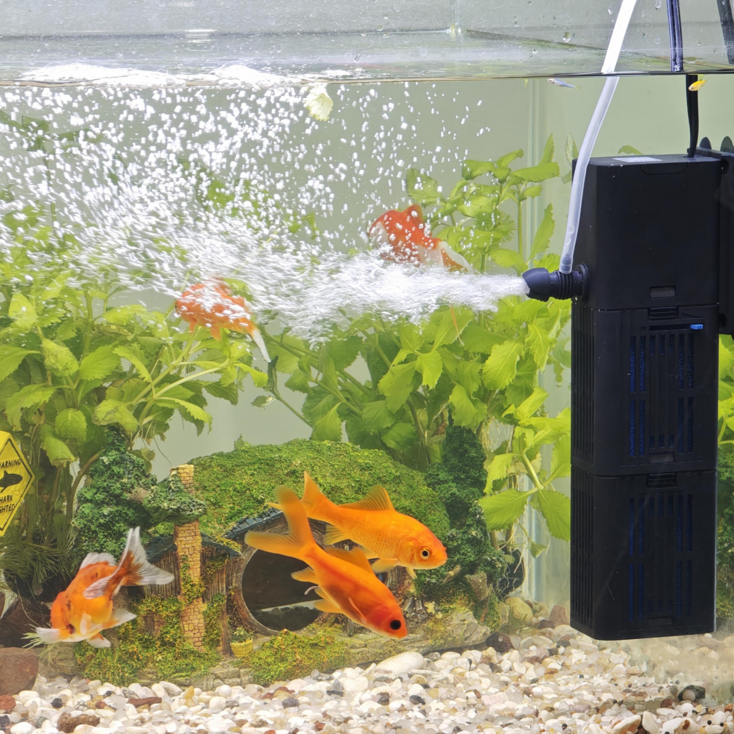 Tararium aquarium filter-oxygenation-bubbles shows built-in aeration for active fish