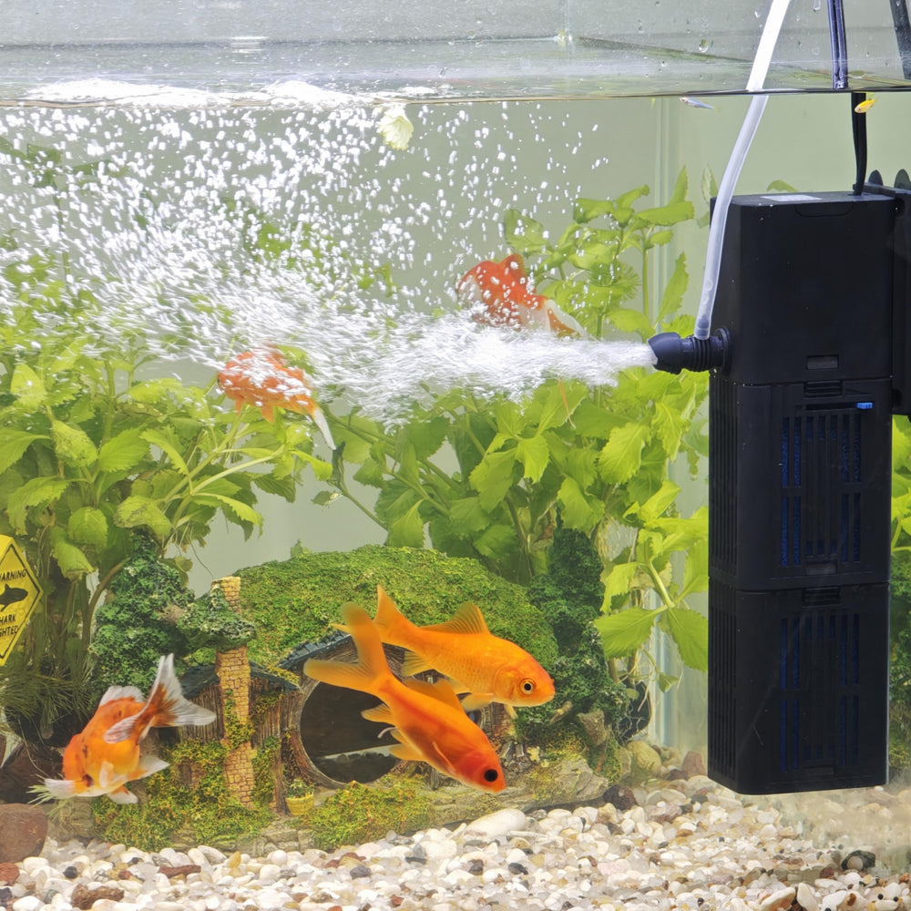 Tararium aquarium filter-oxygenation-bubbles shows built-in aeration for active fish