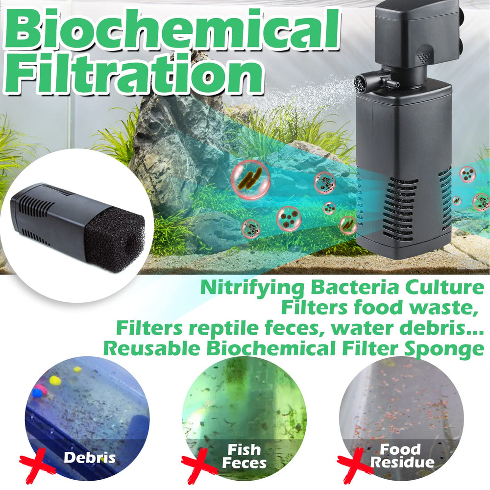 Tararium crystal clear water effect highlights improved tank clarity.