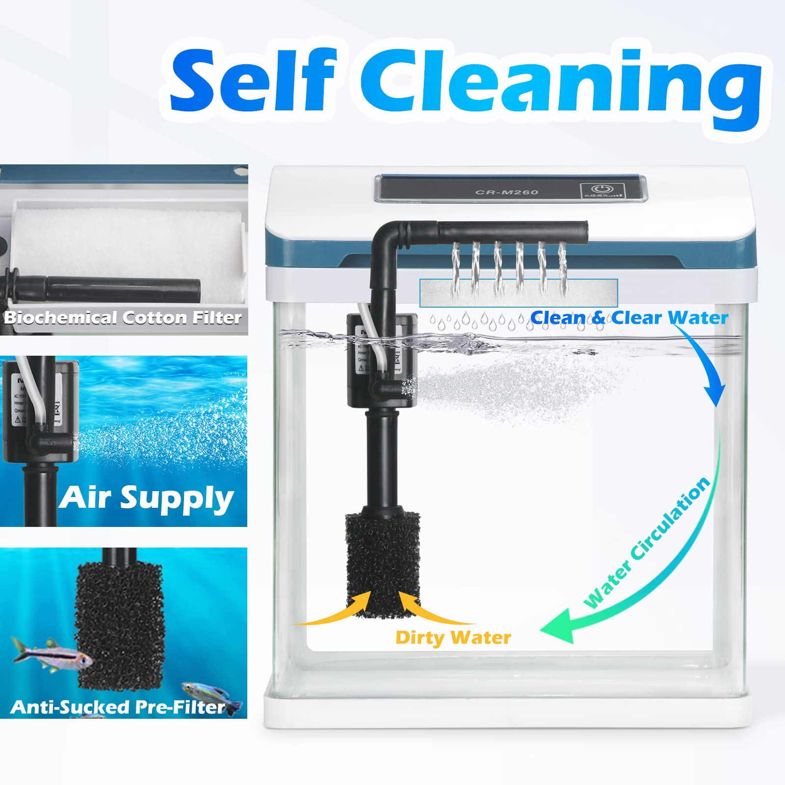 TARARIUM 2-Gallon crystal-clear water view for easy observation