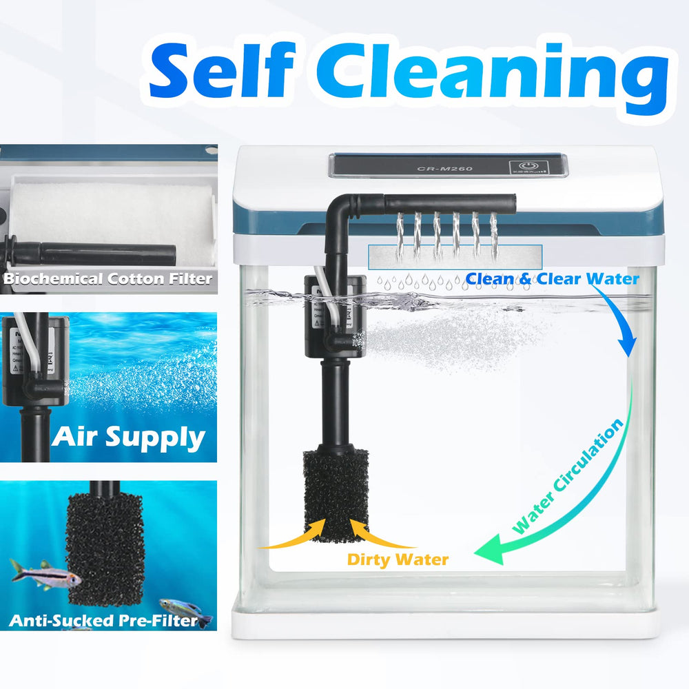 TARARIUM 2-Gallon crystal-clear water view for easy observation