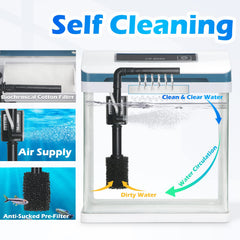 TARARIUM 2-Gallon crystal-clear water view for easy observation