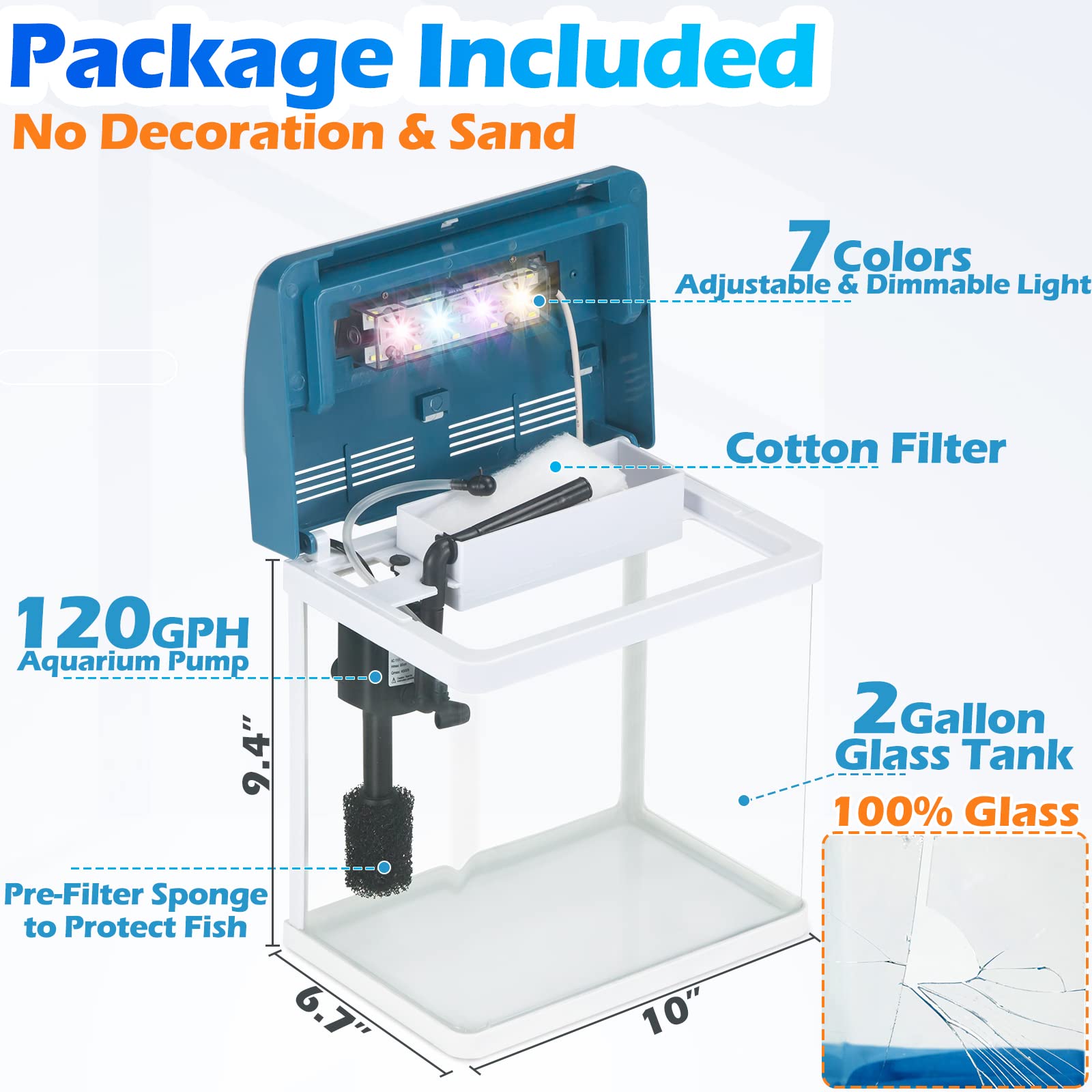 TARARIUM 2-Gallon tank LED lighting on enhances colors and plant health
