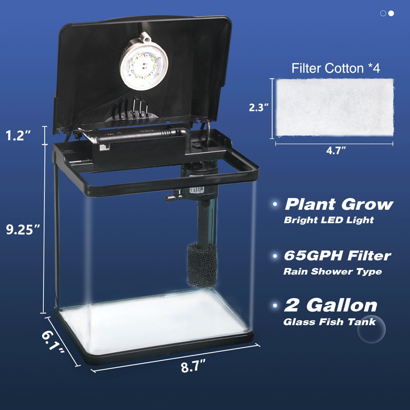TARARIUM 2-gallon interior with filter demonstrates the self-cleaning design.