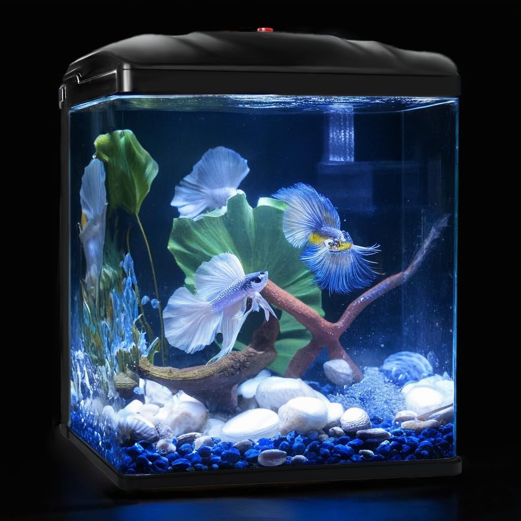 TARARIUM 2-gallon fish tank front view with crystal-clear glass for vivid viewing.