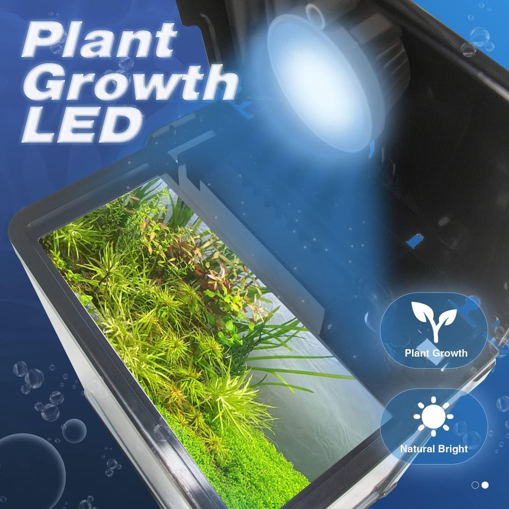 TARARIUM 2-gallon LED light-on view showcases bright illumination for tiny life.