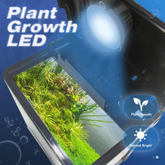TARARIUM 2-gallon LED light-on view showcases bright illumination for tiny life.