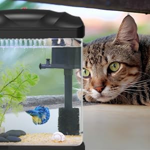 TARARIUM 2-gallon packaging includes quick-start setup for beginners.