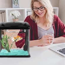 TARARIUM 2-gallon aquarium in kid-friendly room setup for playful décor.