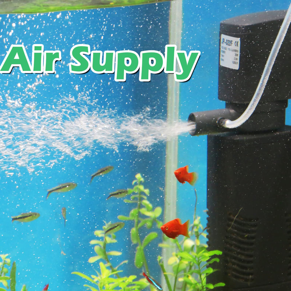 Tararium warranty and service support reflects dependable after-sales assistance.