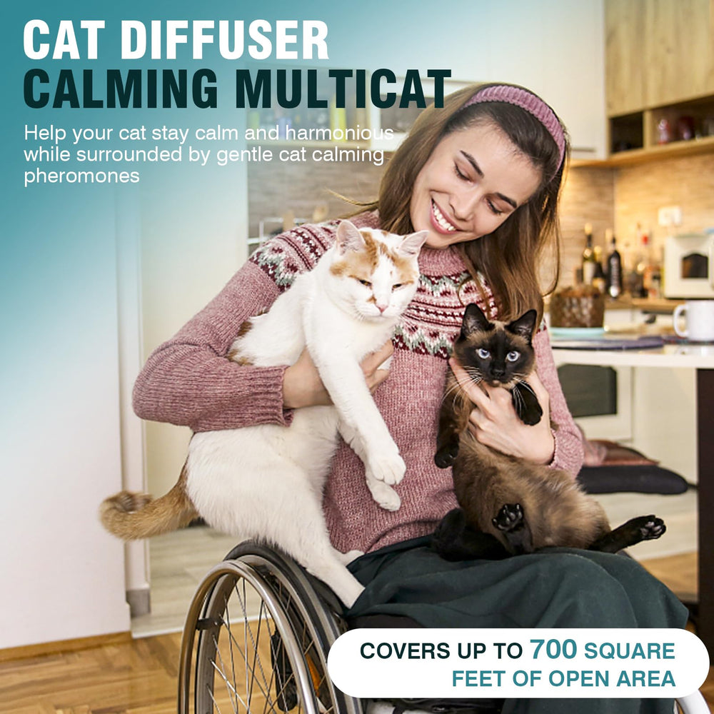 Taraxa Cat Calming Diffuser cat-in-calm scene illustrates reduced stress during daily activities.