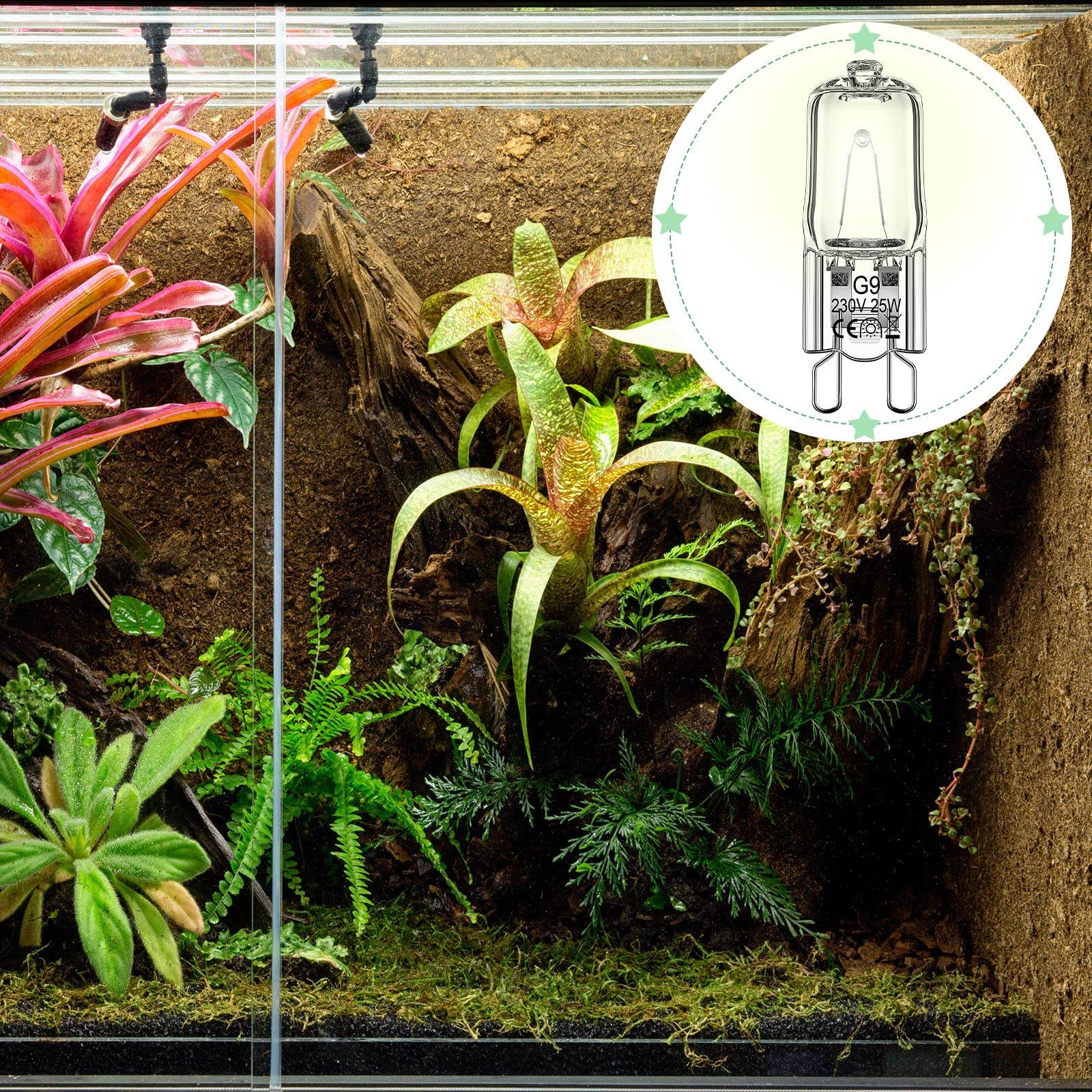 Tarpop energy-saving reptile bulbs reduce power use while delivering reliable heat
