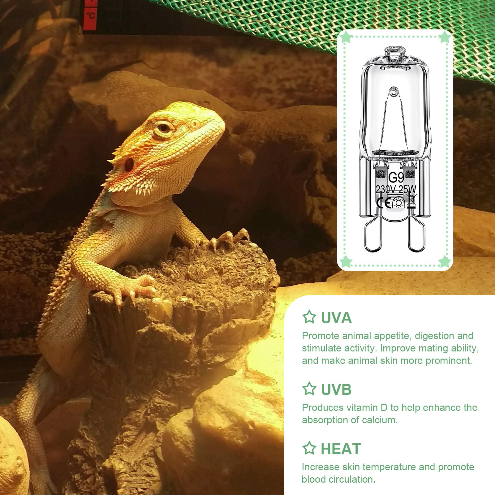 Tarpop heat lamp bulbs help create basking zones for terrarium reptiles