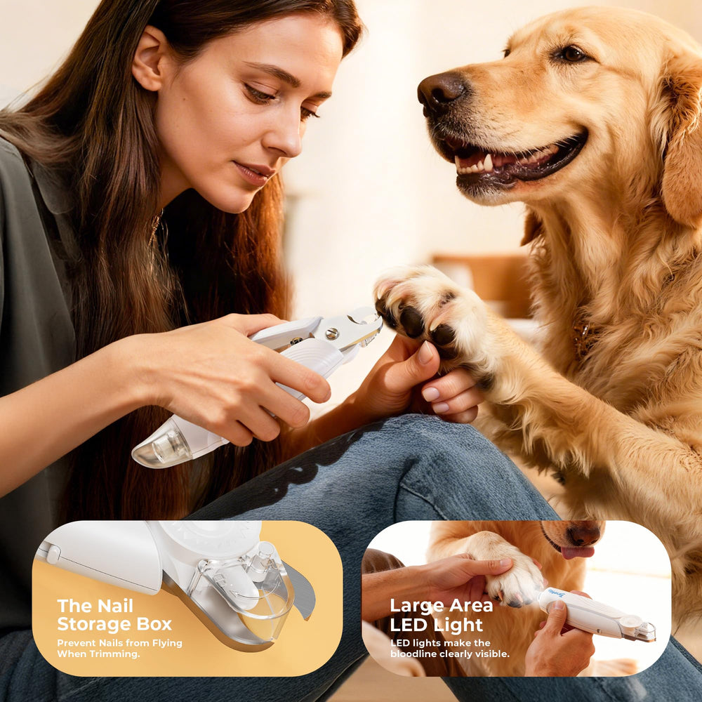 Taruphic quiet operation during nail grinding reduces pet anxiety.