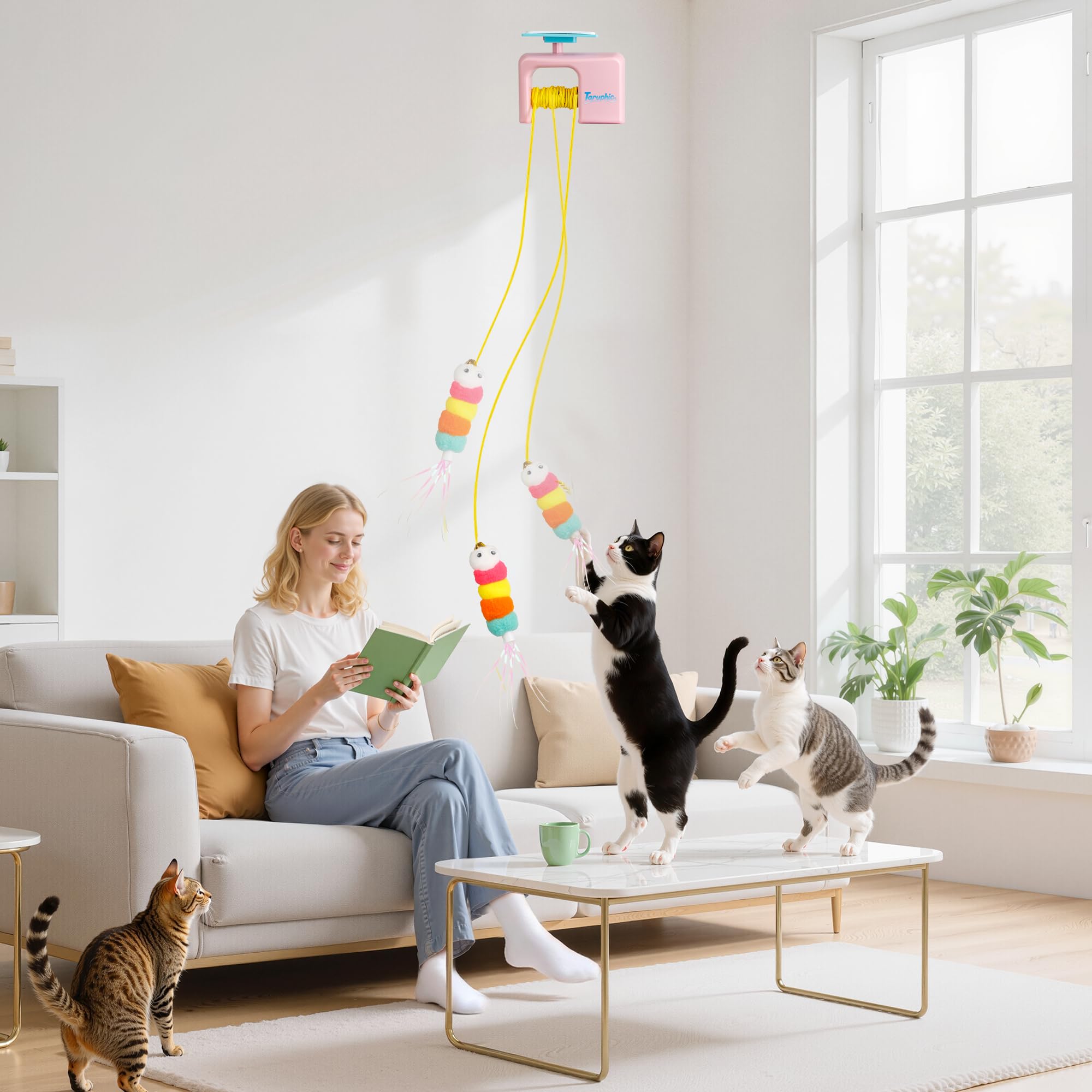 Taruphic self-play indoor cat setup invites cats to explore and stay active.