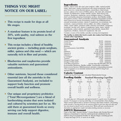 Ancient grains in a bowl from Taste of the Wild for steady energy and texture.