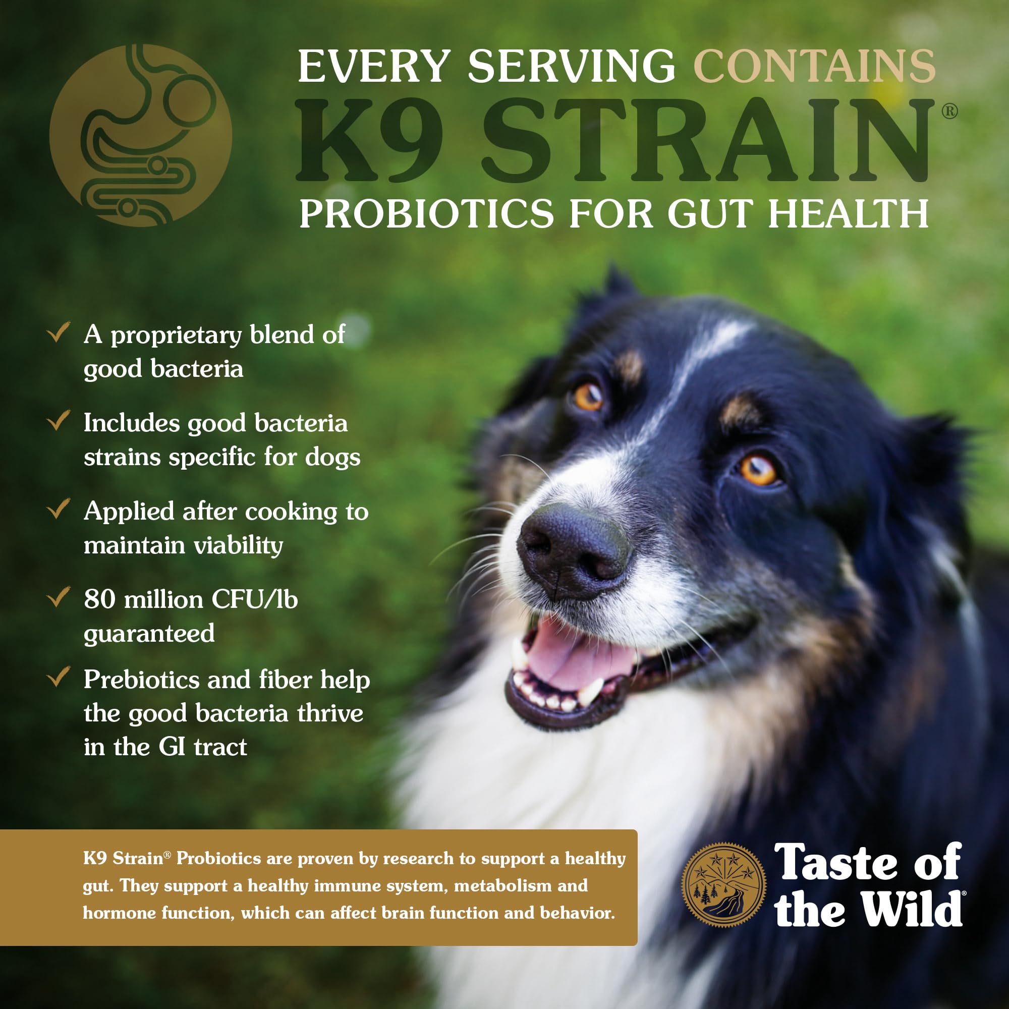 Taste of the Wild High Prairie probiotics image signaling digestion support