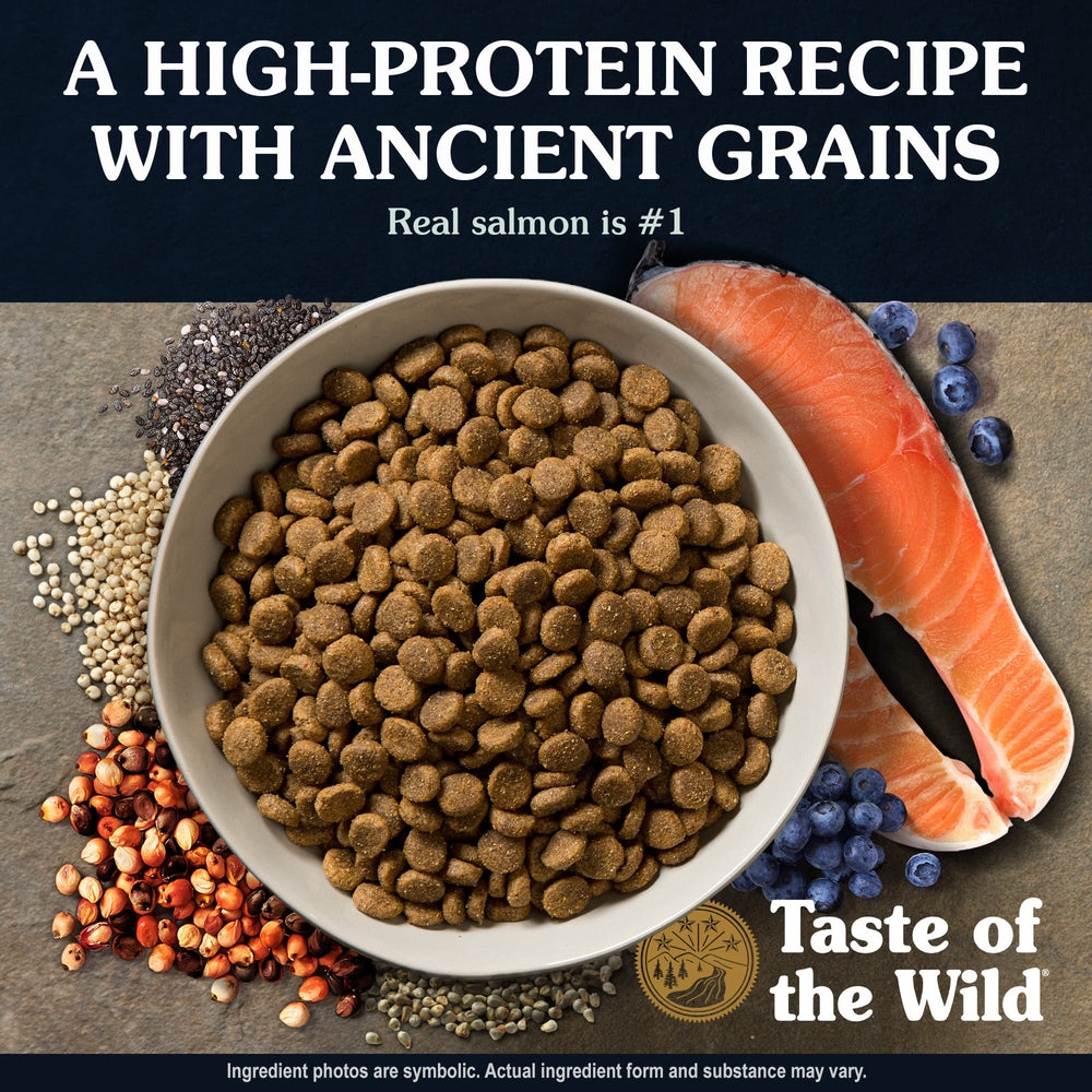 Kibble close-up from Taste of the Wild high-protein formula for strong muscles.