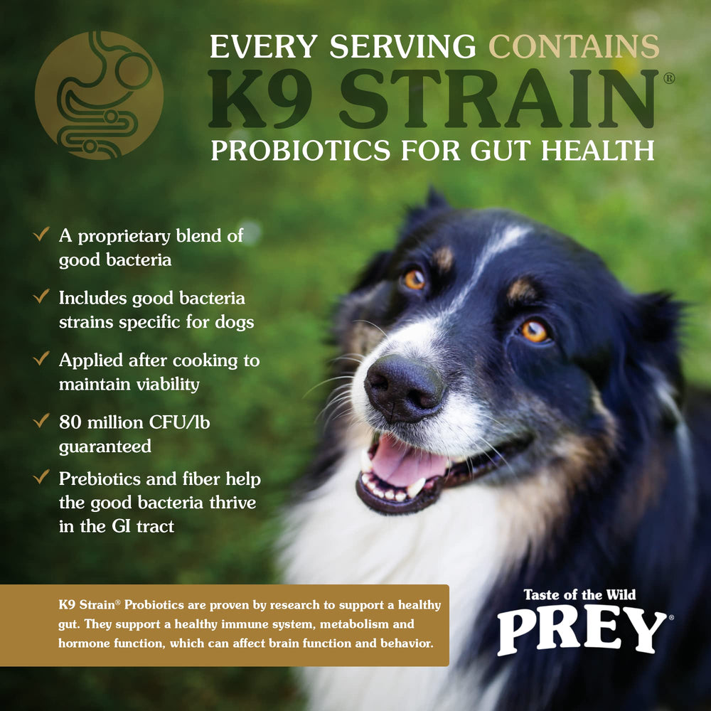 Taste of the Wild Prey Turkey probiotics bottle demonstrates digestive health boost potential.