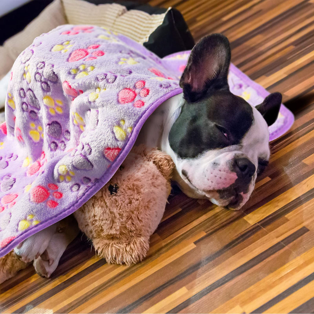 Tatuo washable puppy blanket stays vibrant after washing