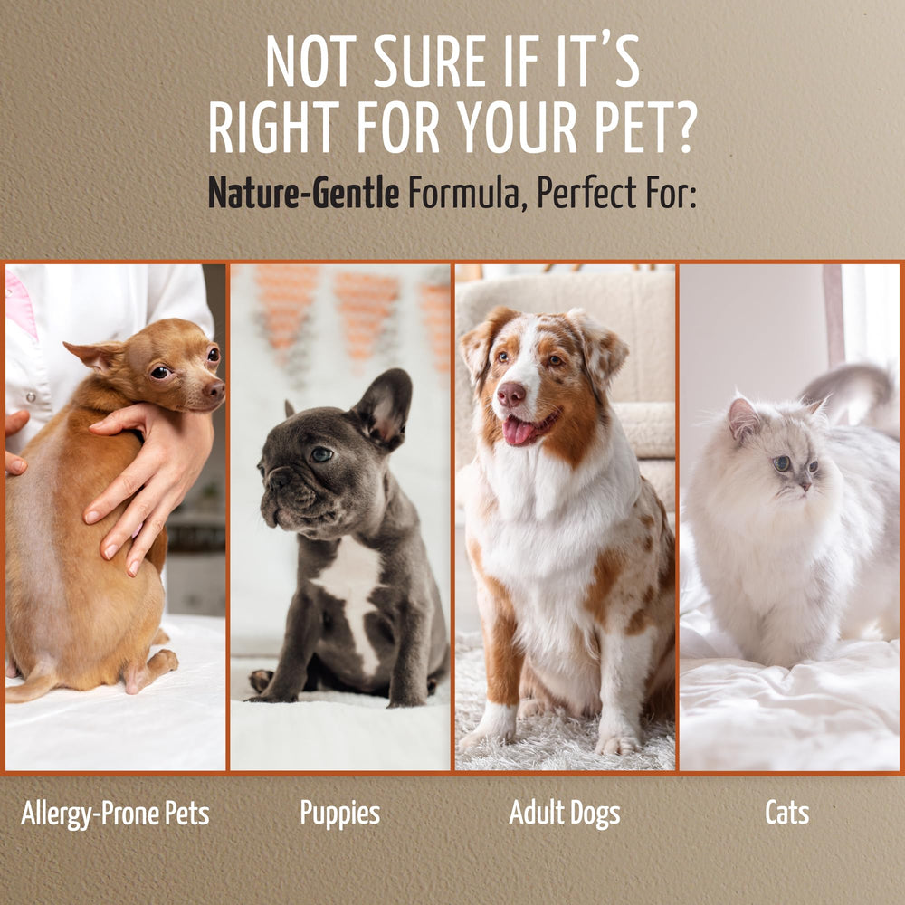 Tauro Pro Line deshedding shampoo EU-made label signals quality and safety.