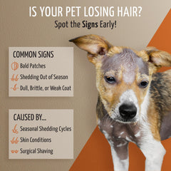 Tauro Pro Line deshedding shampoo pour demonstrates even dispensing during bathtime for thorough cleansing.