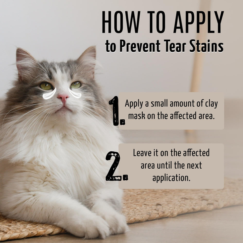 Tauro Pro Line dog grooming kit scene with compact EU-made tube for travel.