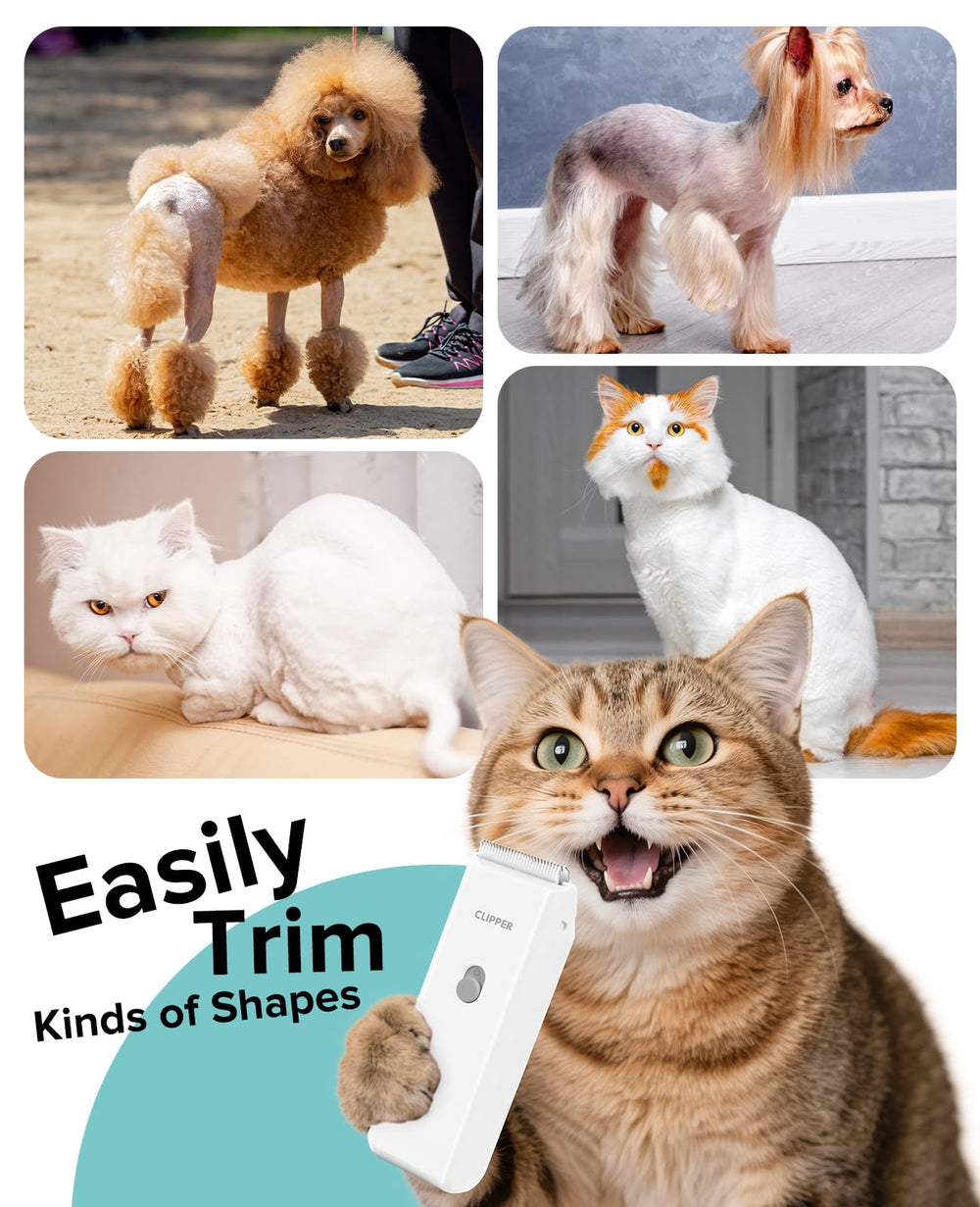 Tawiijou clipper kit includes guide combs for two lengths.