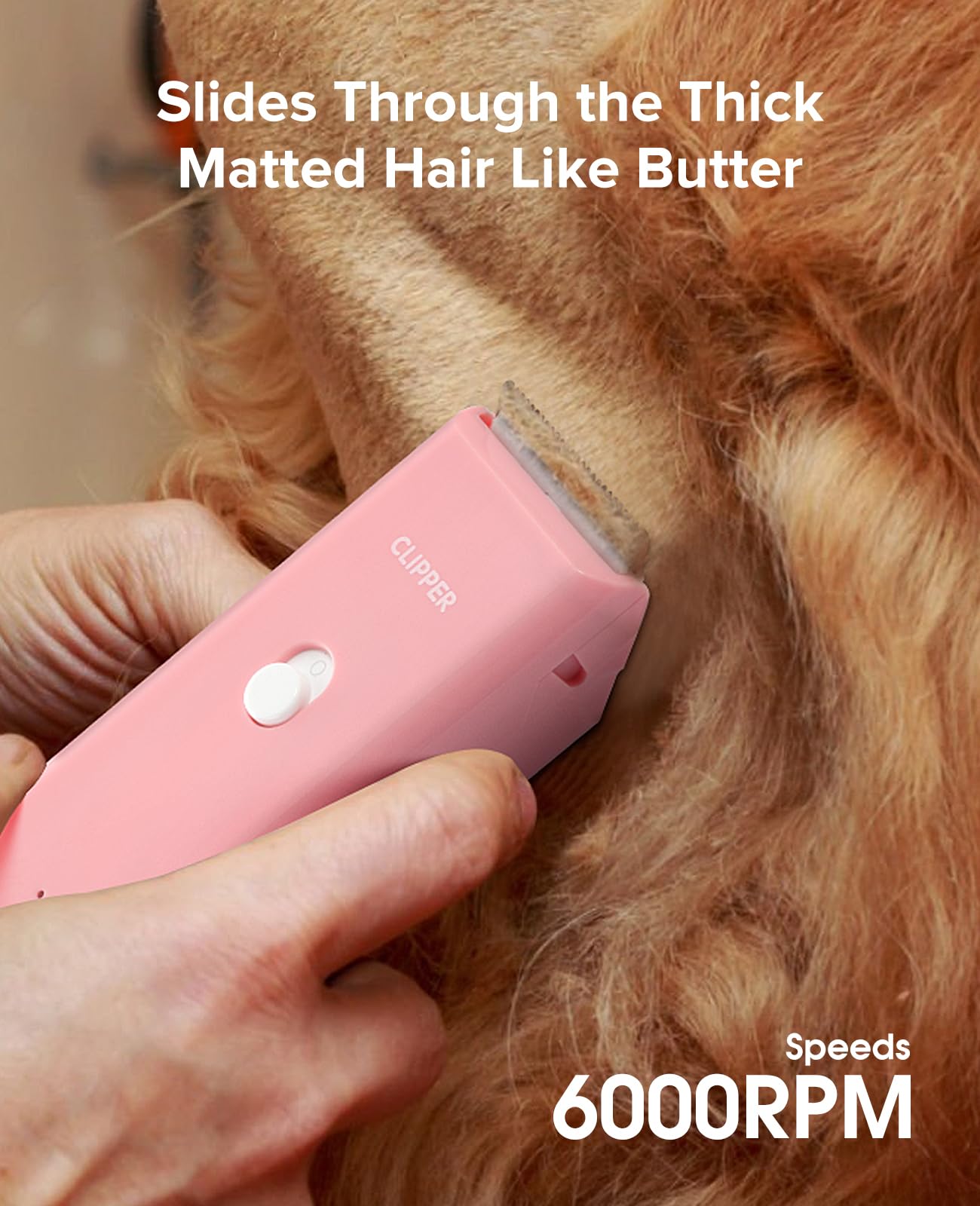 Tawiijou sanitary shaving tool for paws and facial areas, precise care