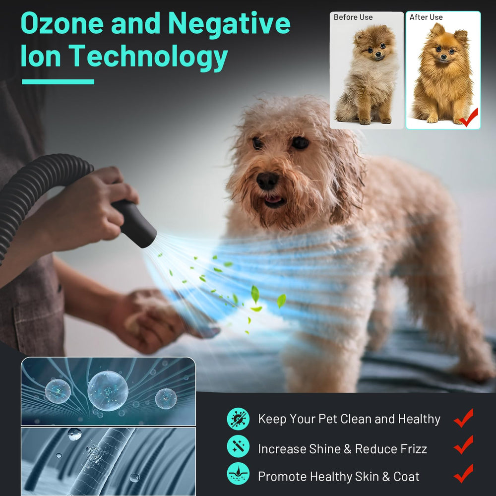 TBC PET dog dryer groom finish showcases smooth, fluffy results.