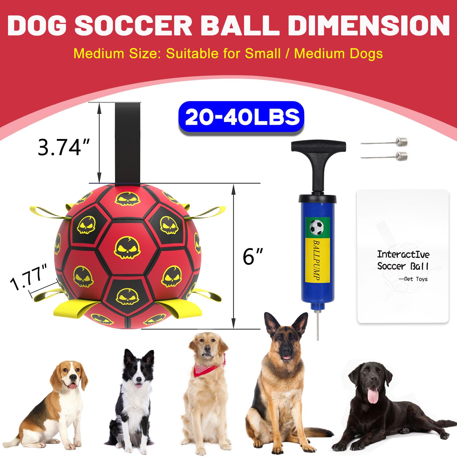 TBC PET skull-pattern soccer ball sparks focus during interactive training