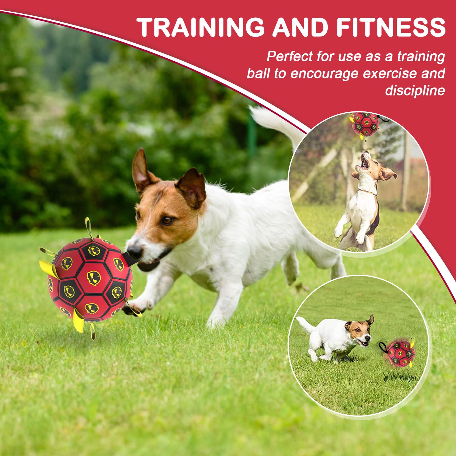 TBC PET dog toy floats for pool and beach play