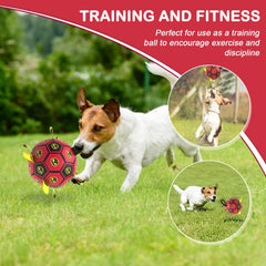 TBC PET dog toy floats for pool and beach play