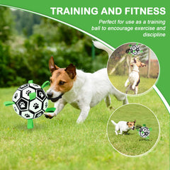 TBC PET interactive soccer ball supports fetch, retrieval, and training routines.