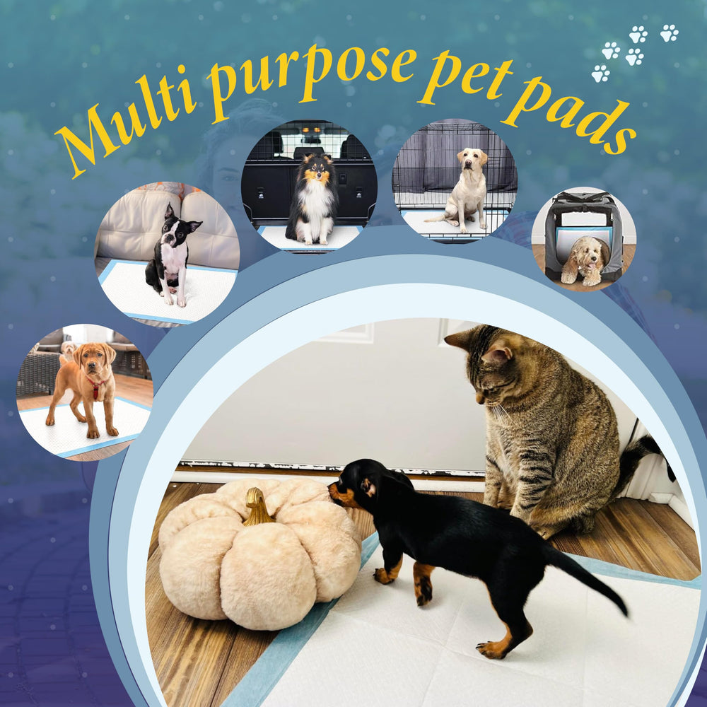 TBM Puppy Pads instruction image showing simple four-step use directions.