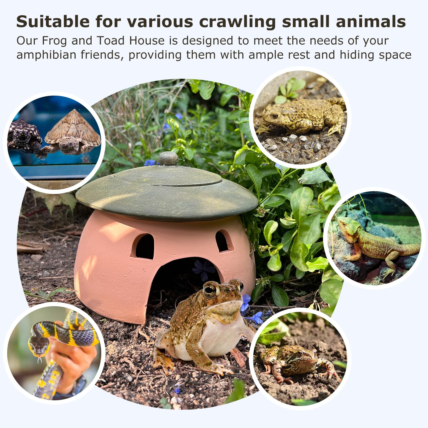 Tbpro terracotta reptile cave garden placement suggests stable shelter in outdoor spaces.