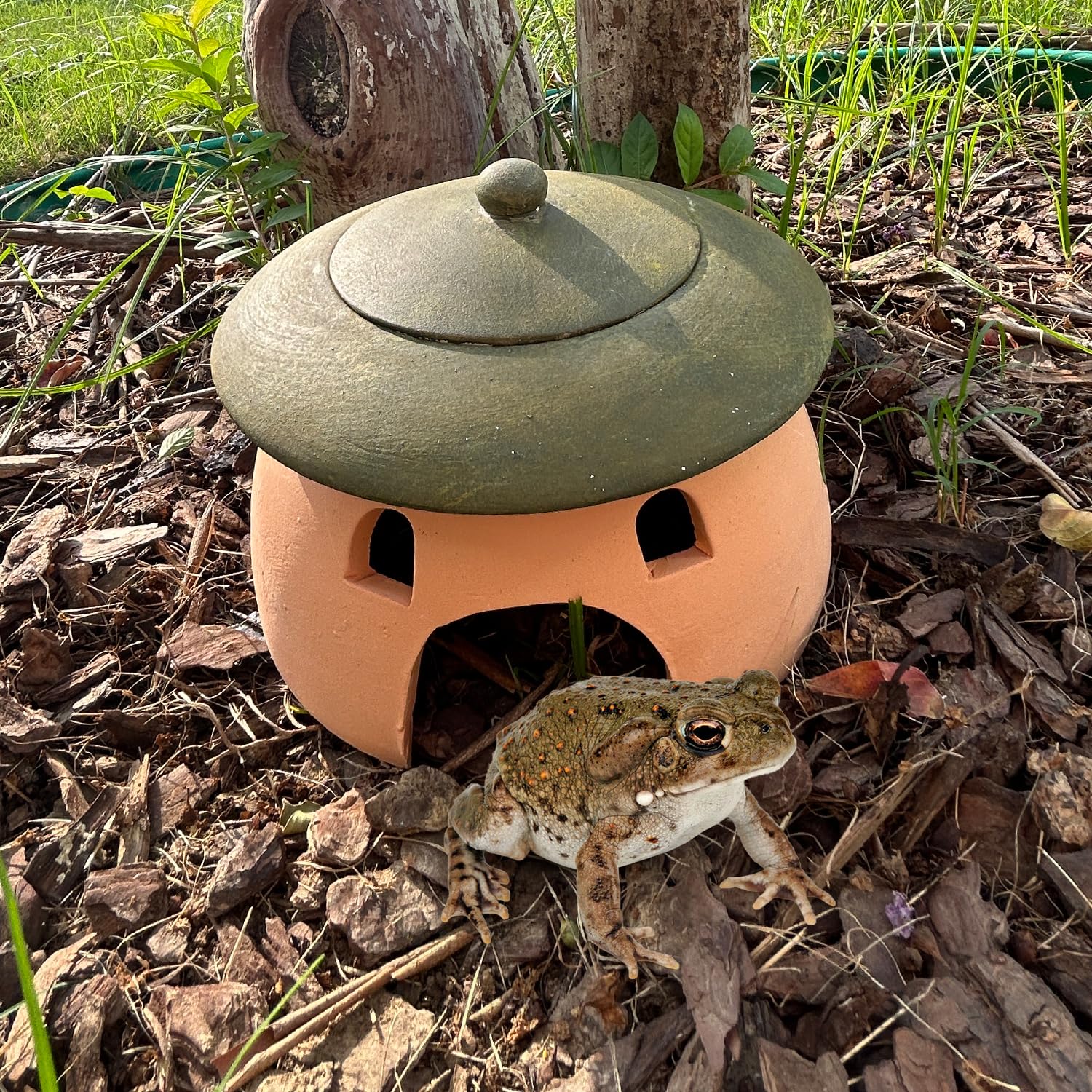 Tbpro terracotta reptile cave packaging gift-ready communicates a thoughtful reptile-friendly present.