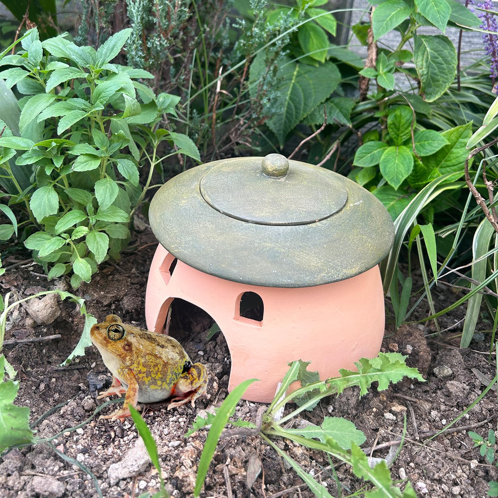 Tbpro terracotta reptile cave side assembly highlights detachable design for easy inspection.