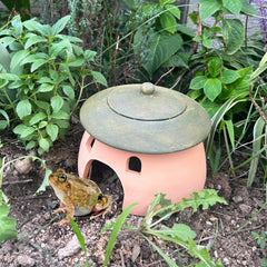 Tbpro terracotta reptile cave side assembly highlights detachable design for easy inspection.