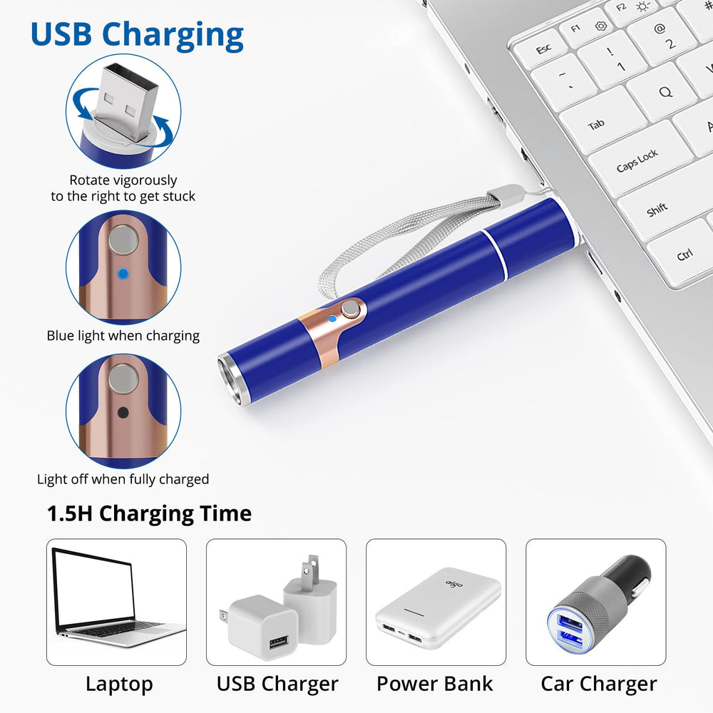 TBTeek cat toy blue stainless-shell durability for indoor use