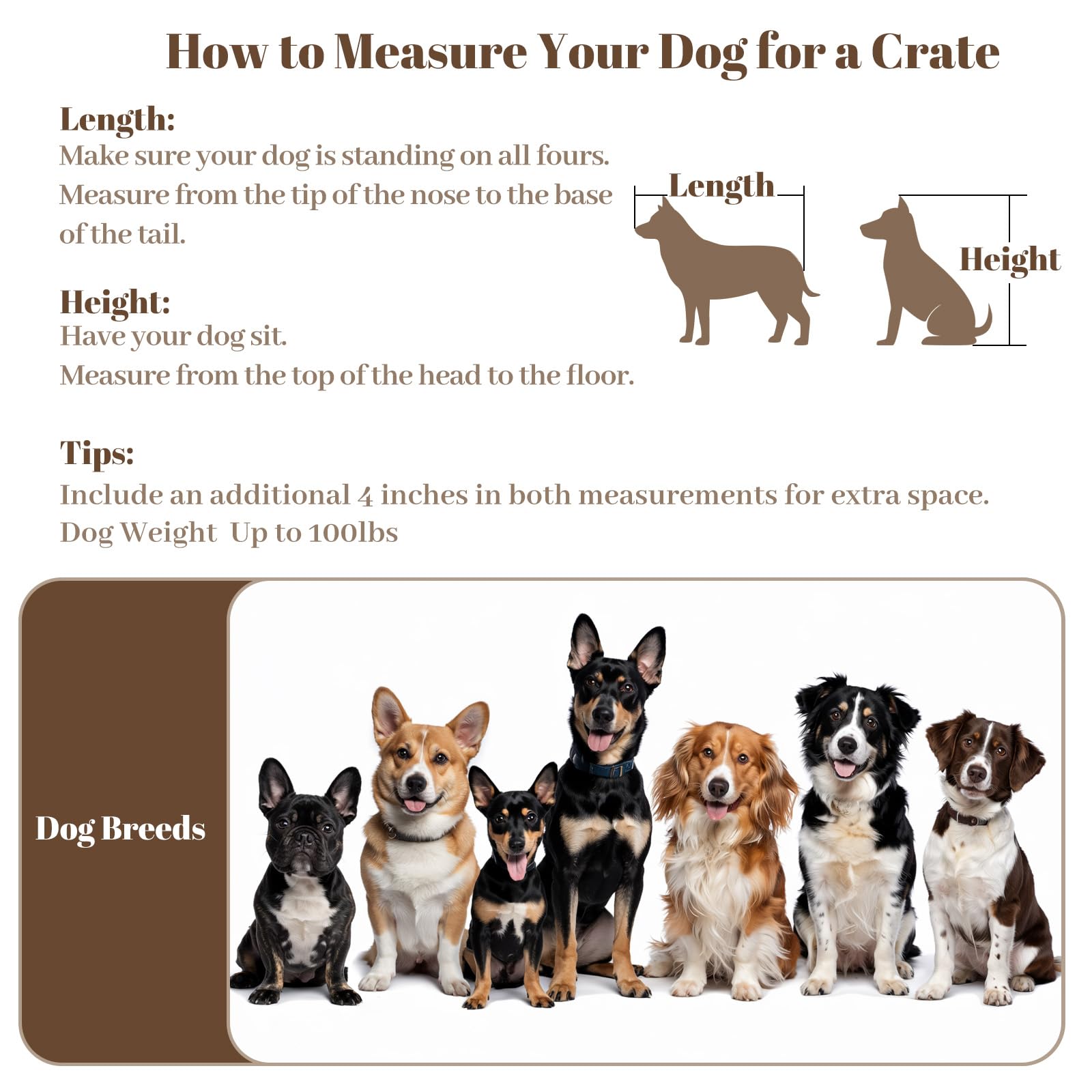 TBWIND easy-assembly crate includes tools and clear instructions for quick setup.