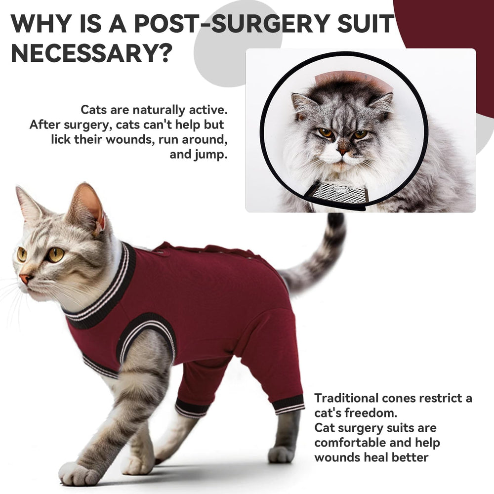 tchaque cat recovery suit belly opening enables easy bathroom access