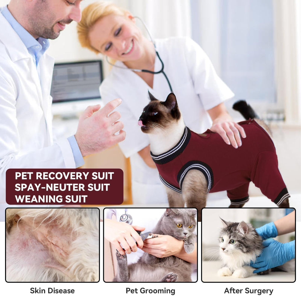 tchaque cat recovery suit cat wearing gentle post-surgery garment