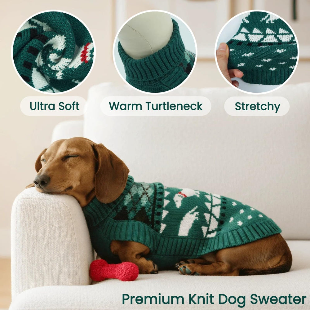 T'CHAQUE Christmas dachshund sweater green back view shows long-back fit