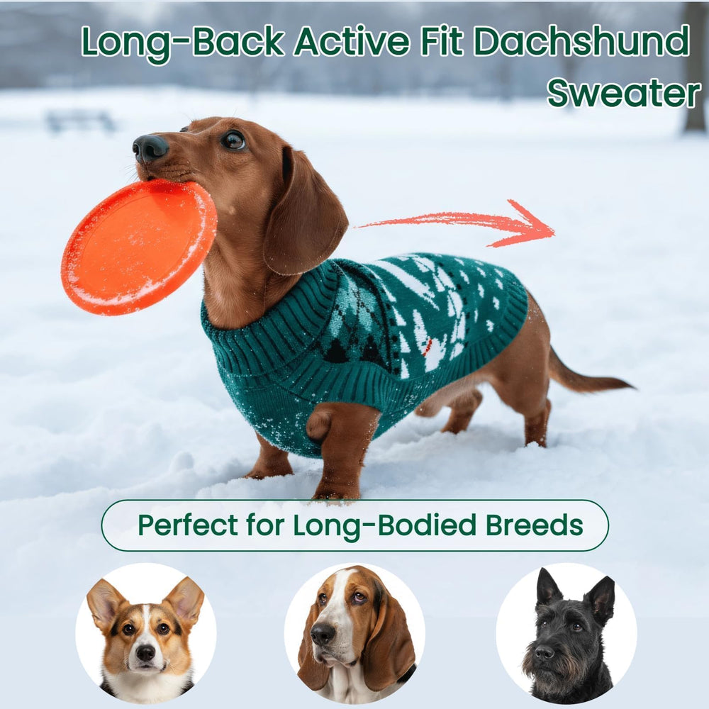 T'CHAQUE dachshund wearing the sweater shows warm, comfortable fit