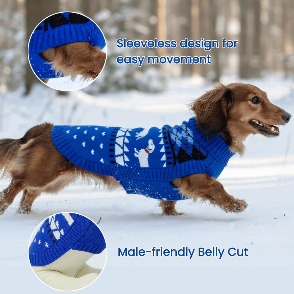T'CHAQUE turtleneck knit provides warmth and style for chilly outings