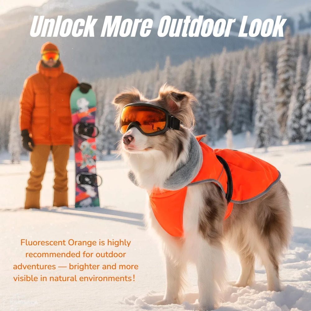 T'CHAQUE fluorescent orange coat improves outdoor visibility for calmer outings.